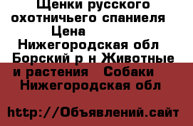 Щенки русского охотничьего спаниеля › Цена ­ 3 500 - Нижегородская обл., Борский р-н Животные и растения » Собаки   . Нижегородская обл.